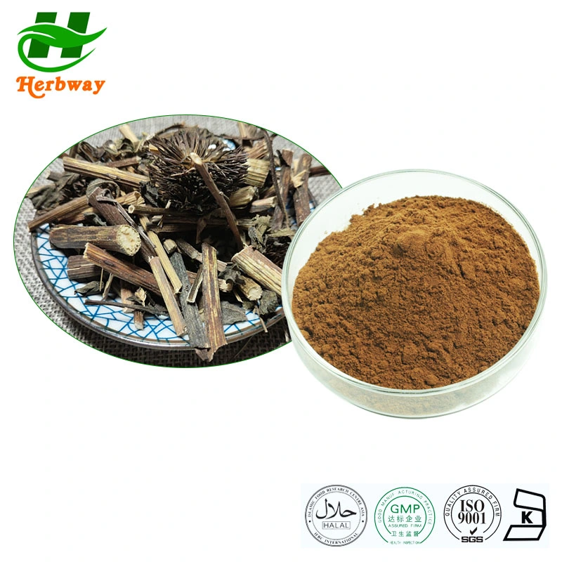 Herbway Wholesale Price Herbal Natural Plant Extract 4% Polyphenols Echinacea Purpurea Extract