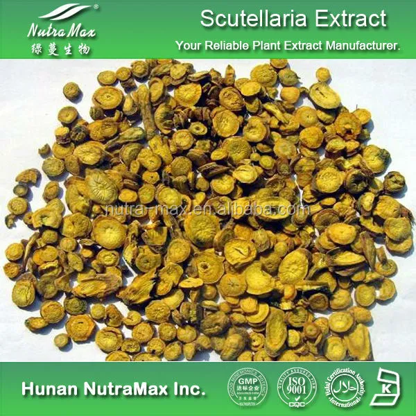 Pure Scutellaria Extract with Baicalin 10%-95%