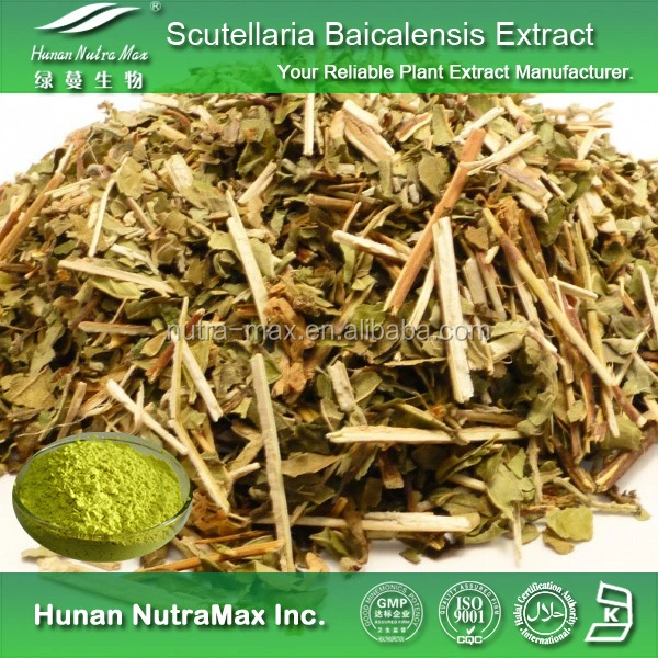 Pure Scutellaria Extract with Baicalin 10%-95%